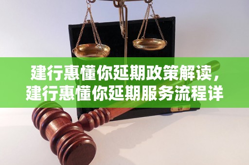 建行惠懂你延期政策解读，建行惠懂你延期服务流程详解