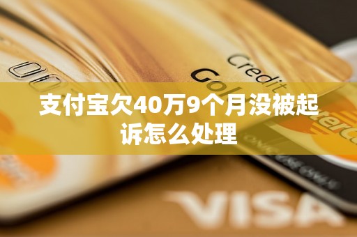 支付宝欠40万9个月没被起诉怎么处理