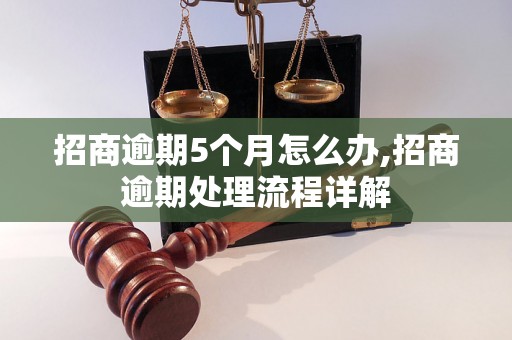 招商逾期5个月怎么办,招商逾期处理流程详解