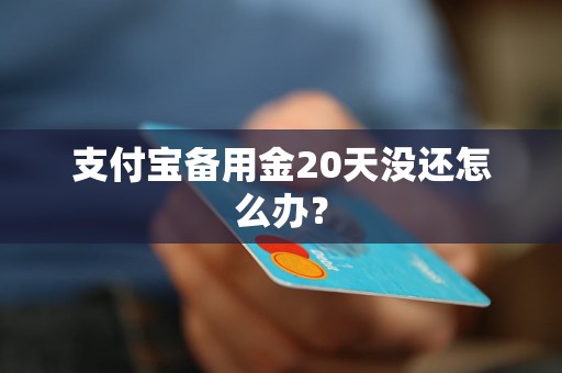 支付宝备用金20天没还怎么办？