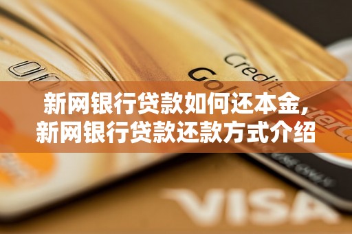 新网银行贷款如何还本金,新网银行贷款还款方式介绍