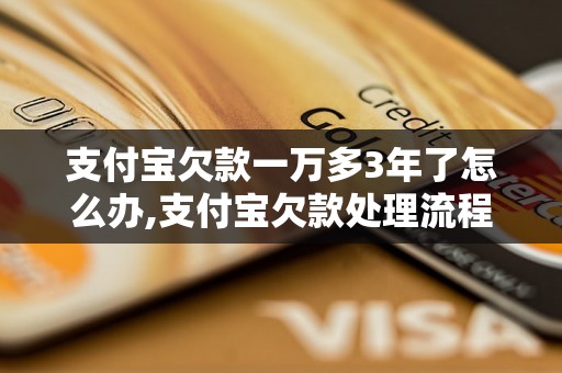 支付宝欠款一万多3年了怎么办,支付宝欠款处理流程详解