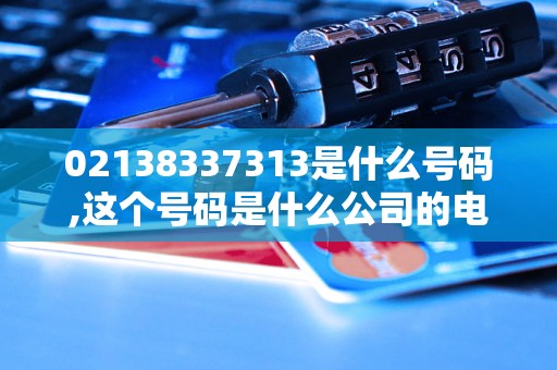 02138337313是什么号码,这个号码是什么公司的电话