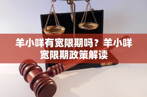 羊小咩有宽限期吗？羊小咩宽限期政策解读