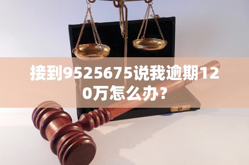 接到9525675说我逾期120万怎么办？