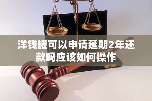 洋钱罐可以申请延期2年还款吗应该如何操作