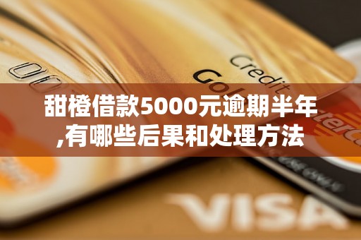 甜橙借款5000元逾期半年,有哪些后果和处理方法