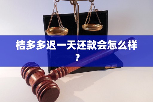 桔多多迟一天还款会怎么样？