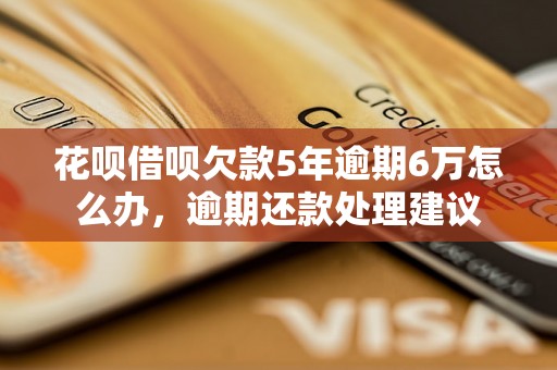 花呗借呗欠款5年逾期6万怎么办，逾期还款处理建议