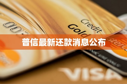 普信最新还款消息公布