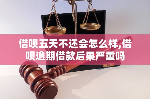 借呗五天不还会怎么样,借呗逾期借款后果严重吗