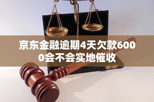 京东金融逾期4天欠款6000会不会实地催收