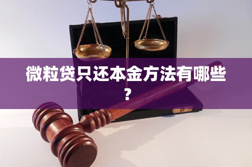 微粒贷只还本金方法有哪些？