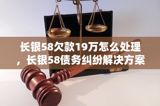 长银58欠款19万怎么处理，长银58债务纠纷解决方案