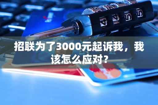 招联为了3000元起诉我，我该怎么应对？