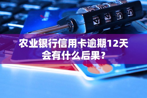 农业银行信用卡逾期12天会有什么后果？