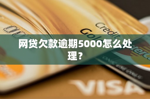 网贷欠款逾期5000怎么处理？