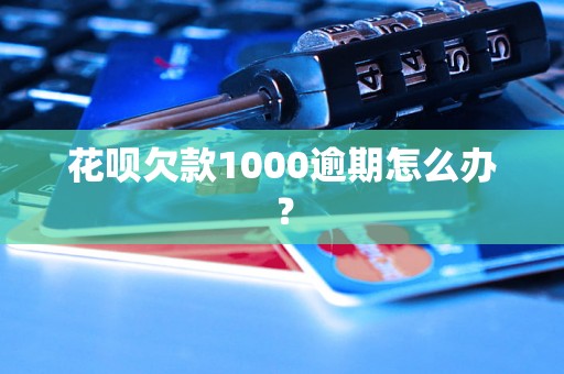 花呗欠款1000逾期怎么办？