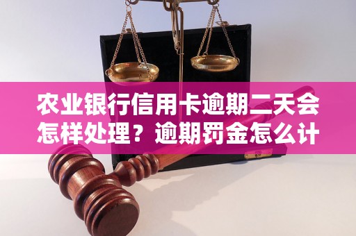 农业银行信用卡逾期二天会怎样处理？逾期罚金怎么计算？