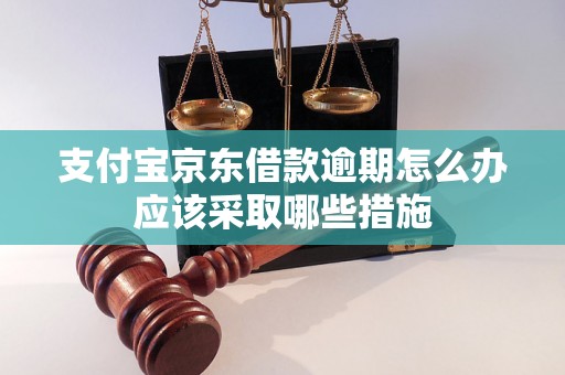 支付宝京东借款逾期怎么办应该采取哪些措施