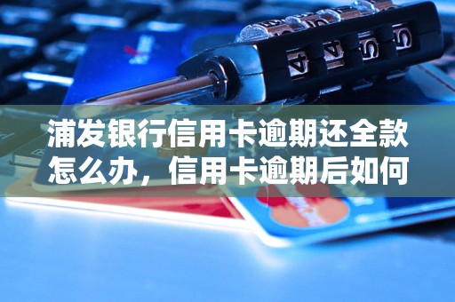 浦发银行信用卡逾期还全款怎么办，信用卡逾期后如何处理