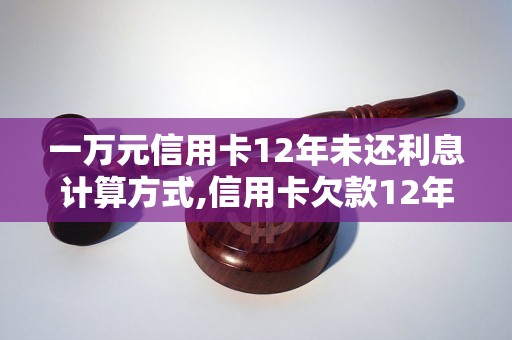 一万元信用卡12年未还利息计算方式,信用卡欠款12年利息总额计算