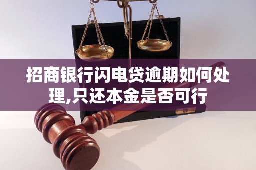 招商银行闪电贷逾期如何处理,只还本金是否可行