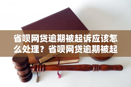 省呗网贷逾期被起诉应该怎么处理？省呗网贷逾期被起诉后的解决方法