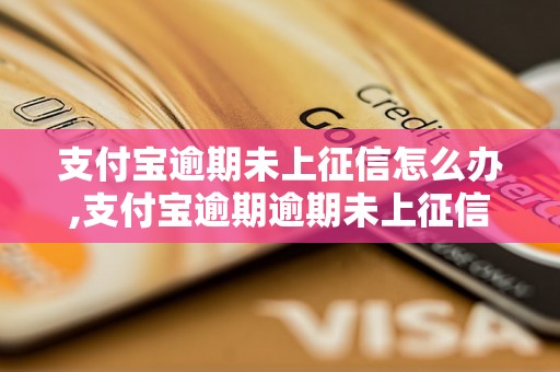 支付宝逾期未上征信怎么办,支付宝逾期逾期未上征信处理方法