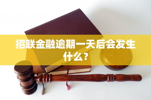 招联金融逾期一天后会发生什么？