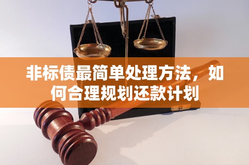 非标债最简单处理方法，如何合理规划还款计划