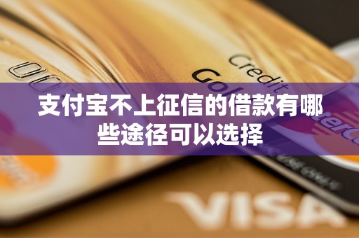 支付宝不上征信的借款有哪些途径可以选择