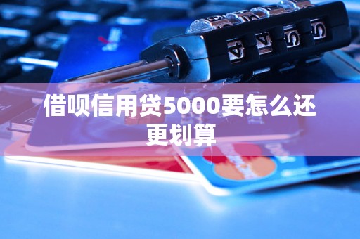 借呗信用贷5000要怎么还更划算