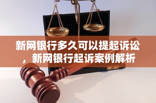 新网银行多久可以提起诉讼，新网银行起诉案例解析