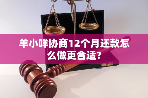 羊小咩协商12个月还款怎么做更合适？