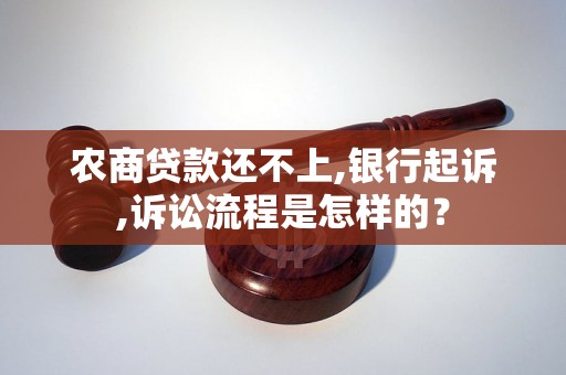 农商贷款还不上,银行起诉,诉讼流程是怎样的？