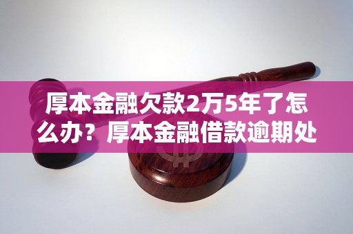 厚本金融欠款2万5年了怎么办？厚本金融借款逾期处理攻略