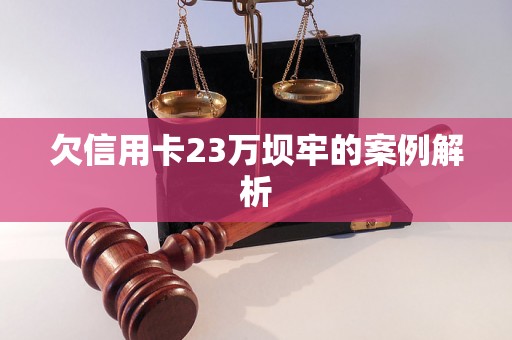 欠信用卡23万坝牢的案例解析