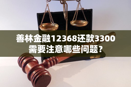 善林金融12368还款3300需要注意哪些问题？