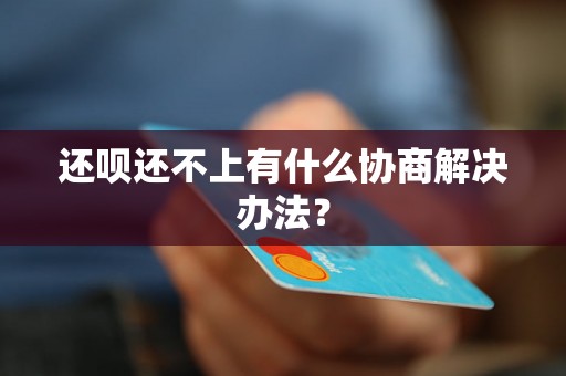 还呗还不上有什么协商解决办法？