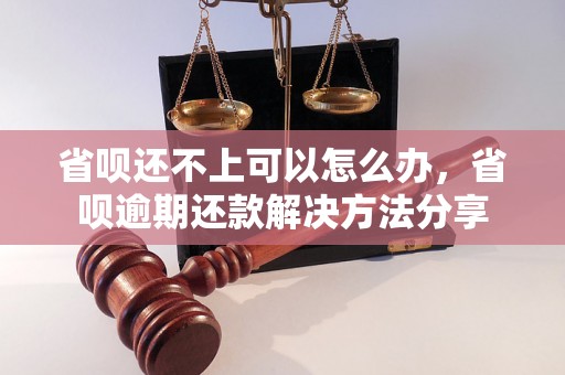 省呗还不上可以怎么办，省呗逾期还款解决方法分享