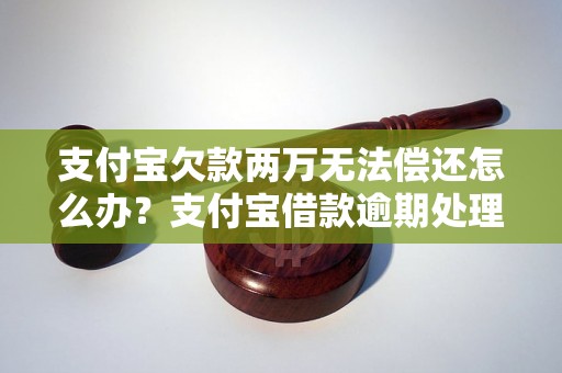 支付宝欠款两万无法偿还怎么办？支付宝借款逾期处理攻略