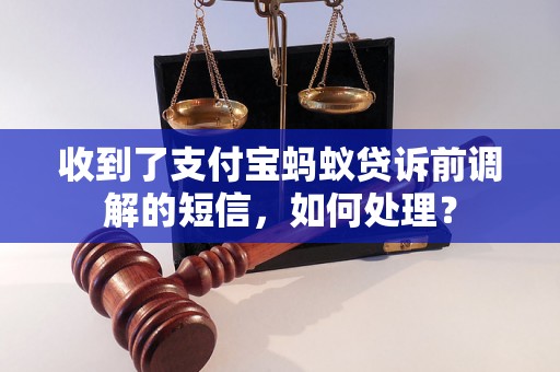 收到了支付宝蚂蚁贷诉前调解的短信，如何处理？