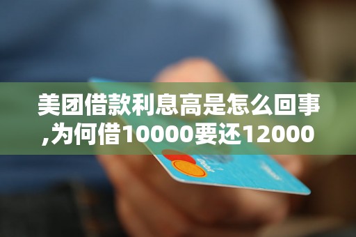 美团借款利息高是怎么回事,为何借10000要还12000