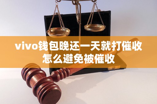 vivo钱包晚还一天就打催收怎么避免被催收