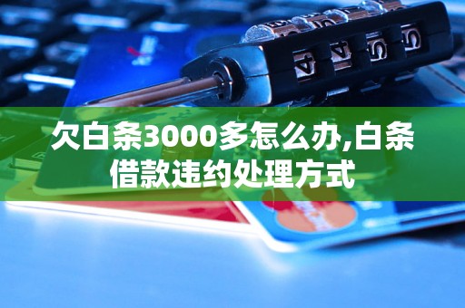 欠白条3000多怎么办,白条借款违约处理方式