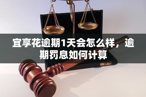 宜享花逾期1天会怎么样，逾期罚息如何计算