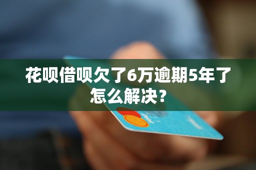 花呗借呗欠了6万逾期5年了怎么解决？