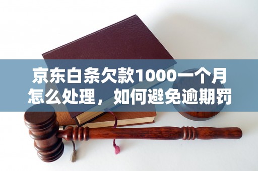 京东白条欠款1000一个月怎么处理，如何避免逾期罚款