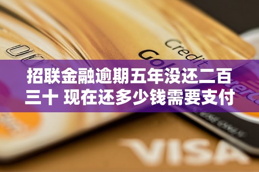 招联金融逾期五年没还二百三十 现在还多少钱需要支付